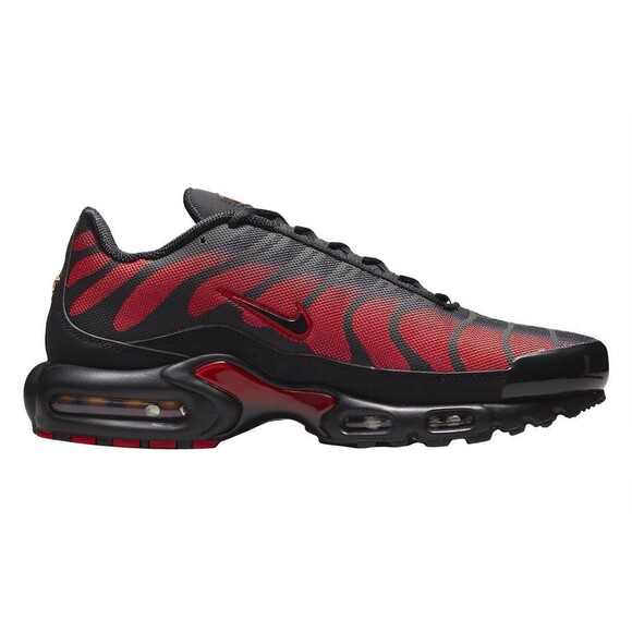 Size 10 - Nike Air Max Plus Bred Reflective DZ4507-600 NIB! main image 7
